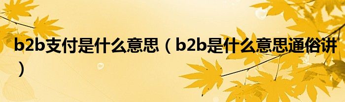 b2b支付是什么意思（b2b是什么意思通俗講）