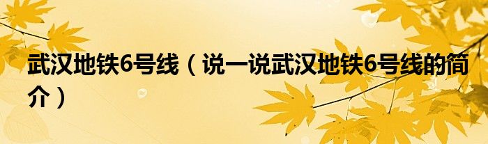 武漢地鐵6號線（說一說武漢地鐵6號線的簡介）