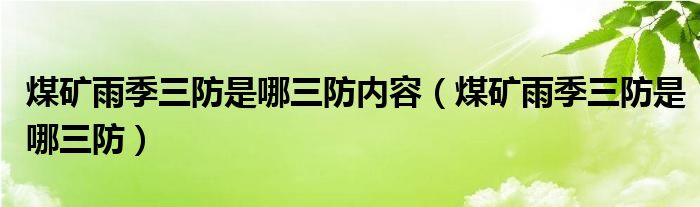 煤礦雨季三防是哪三防內(nèi)容（煤礦雨季三防是哪三防）