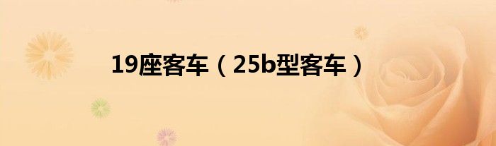 19座客車（25b型客車）