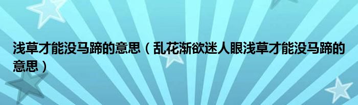淺草才能沒馬蹄的意思（亂花漸欲迷人眼淺草才能沒馬蹄的意思）