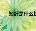 短纖是什么提煉出來的（短纖是什么）