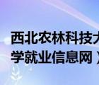 西北農(nóng)林科技大學(xué)就業(yè)網(wǎng)站（西北農(nóng)林科技大學(xué)就業(yè)信息網(wǎng)）