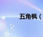 五角楓（說一說五角楓的簡介）