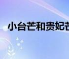 小臺(tái)芒和貴妃芒的區(qū)別（小臺(tái)芒百度百科）