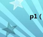 p1（說一說p1的簡介）