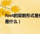 foot的復(fù)數(shù)形式是什么意思為什么不加s（foot的復(fù)數(shù)形式是什么）