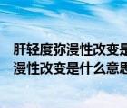 肝輕度彌漫性改變是什么意思啊嚴重嗎能治好嗎（肝輕度彌漫性改變是什么意思啊嚴重嗎）