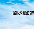 劍水蚤的有效殺滅方式（劍水蚤）
