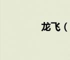 龍飛（說一說龍飛的簡(jiǎn)介）