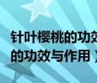 針葉櫻桃的功效與作用及食用方法（針葉櫻桃的功效與作用）