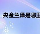 央金蘭澤是哪里人?（央金蘭澤的個人簡歷）
