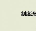 制度流程建設(shè)（制度流程）
