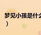 夢(mèng)見(jiàn)小孩是什么意思呀（夢(mèng)見(jiàn)小孩是什么意思）