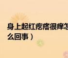身上起紅疙瘩很癢怎么回事（身上長紅疙瘩很癢有水皰是怎么回事）
