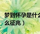 夢(mèng)到懷孕是什么征兆周公解夢(mèng)（夢(mèng)到懷孕是什么征兆）