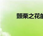 顫栗之花的肉在哪里（顫栗之花）