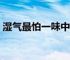 濕氣最怕一味中藥（健脾除濕最好的中成藥）