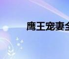 鷹王寵妻全文大結(jié)局（鷹王寵妻）