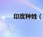 印度種姓（說一說印度種姓的簡介）