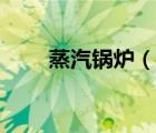 蒸汽鍋爐（說一說蒸汽鍋爐的簡介）