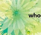 wholesaler（whole）