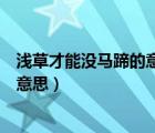 淺草才能沒馬蹄的意思（亂花漸欲迷人眼淺草才能沒馬蹄的意思）