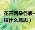 花開兩朵各表一枝是平敘嗎（花開兩朵各表一枝什么意思）