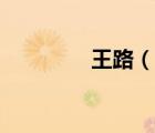 王路（說一說王路的簡介）