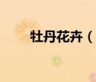 牡丹花卉（說一說牡丹花卉的簡介）