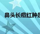 鼻頭長(zhǎng)痘紅腫是啥原因（鼻頭長(zhǎng)痘的原因）