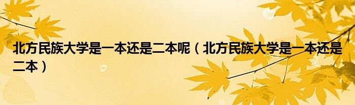 北方民族大學(xué)是一本還是二本呢（北方民族大學(xué)是一本還是二本）