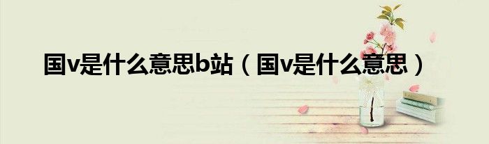 國v是什么意思b站（國v是什么意思）