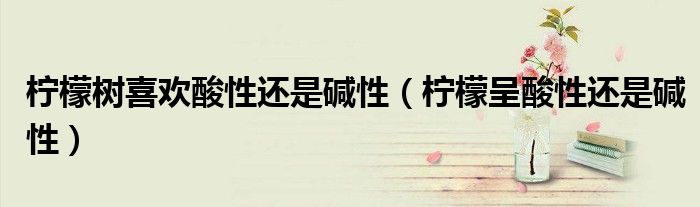 檸檬樹喜歡酸性還是堿性（檸檬呈酸性還是堿性）