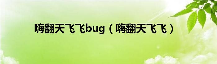 嗨翻天飛飛bug（嗨翻天飛飛）