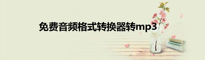 免費(fèi)音頻格式轉(zhuǎn)換器轉(zhuǎn)mp3