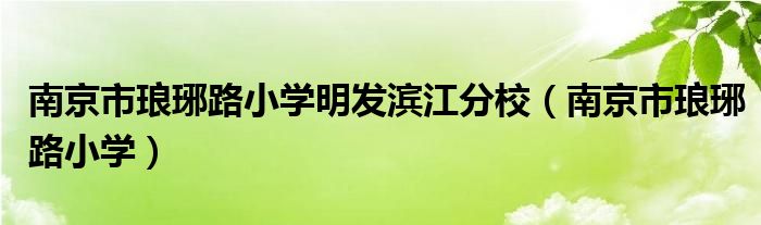 南京市瑯琊路小學(xué)明發(fā)濱江分校（南京市瑯琊路小學(xué)）