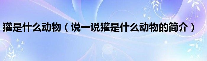 獾是什么動物（說一說獾是什么動物的簡介）