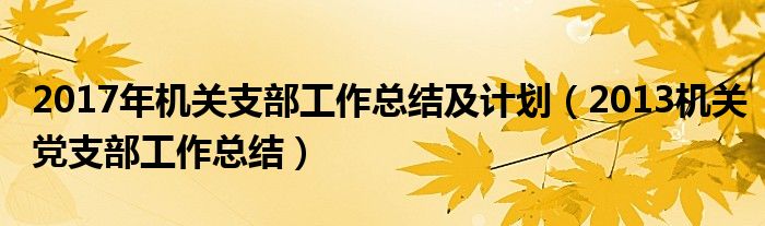 2017年機(jī)關(guān)支部工作總結(jié)及計(jì)劃（2013機(jī)關(guān)黨支部工作總結(jié)）