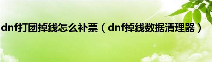 dnf打團(tuán)掉線怎么補(bǔ)票（dnf掉線數(shù)據(jù)清理器）