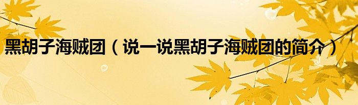 黑胡子海賊團(tuán)（說一說黑胡子海賊團(tuán)的簡介）