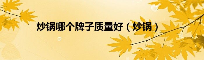 炒鍋哪個(gè)牌子質(zhì)量好（炒鍋）