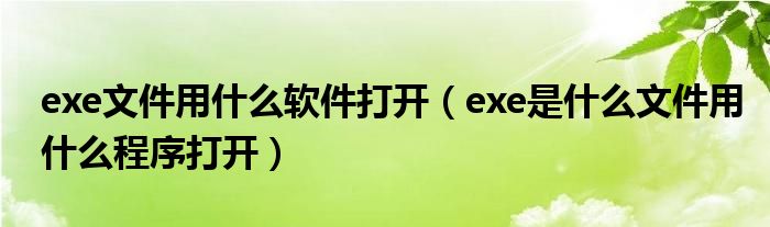 exe文件用什么軟件打開（exe是什么文件用什么程序打開）