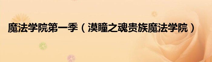 魔法學(xué)院第一季（漠瞳之魂貴族魔法學(xué)院）