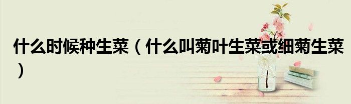 什么時(shí)候種生菜（什么叫菊葉生菜或細(xì)菊生菜）