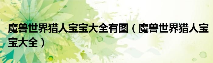 魔獸世界獵人寶寶大全有圖（魔獸世界獵人寶寶大全）