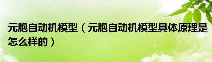 元胞自動(dòng)機(jī)模型（元胞自動(dòng)機(jī)模型具體原理是怎么樣的）