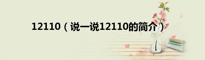 12110（說一說12110的簡介）