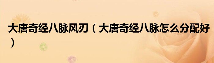 大唐奇經(jīng)八脈風(fēng)刃（大唐奇經(jīng)八脈怎么分配好）