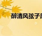 醉清風(fēng)弦子原版2005（醉清風(fēng) 弦子）